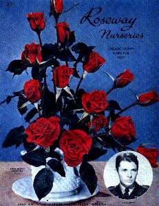 Audie Murphy Rose poster, Artifact #997-069-079, provided by the American Cotton Museum, Greenville, Texas.