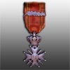 Click to see next the military decoration earned by Audie Murphy.