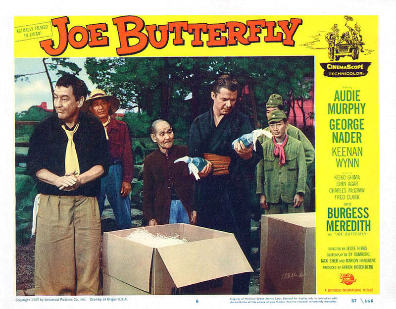 映画ポスター レトロ　Joe Butterfly オリジナル 映画ポスター レトロ Joe Butterfly オリジナル Joe Butterfly