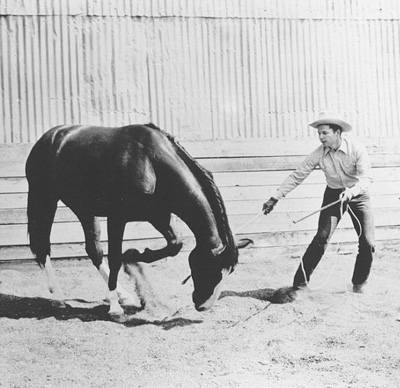 A horse photo with Audie Murphy