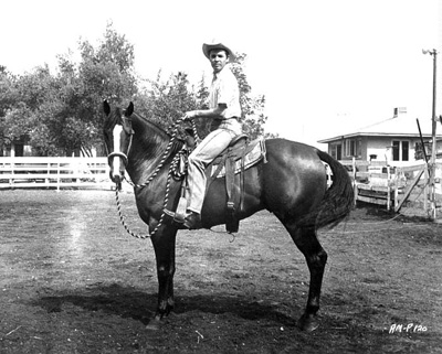 A horse photo with Audie Murphy