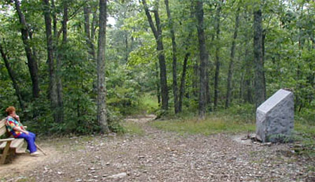 Marker and bench at the Audie Murphy Memorial on Brush Mountain, Virginia. Photo provided by Fred Davis.